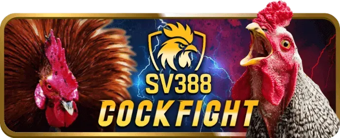 Cá cược Thể Thao hitclub88 nhà cái